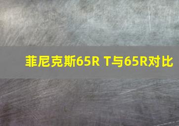 菲尼克斯65R T与65R对比